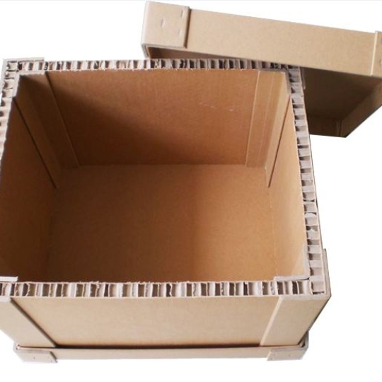 Carton Box 2