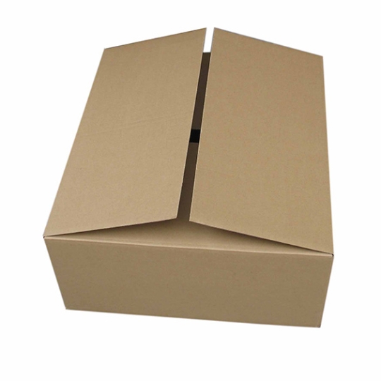 Carton Box 4
